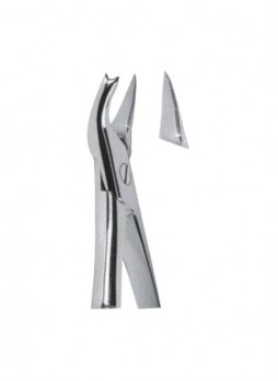 Extracting Forceps